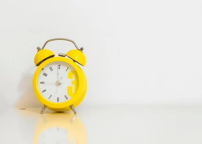 Très Beau Terrasse Les Pins